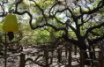 /album/galeria-de-fotos-turismo/a405115448-g-jpg/